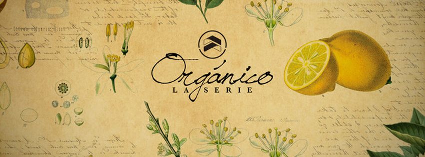 Creciendo en el Conocimiento de Dios